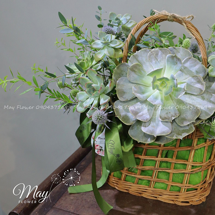 khung-troi-binh-yen-3