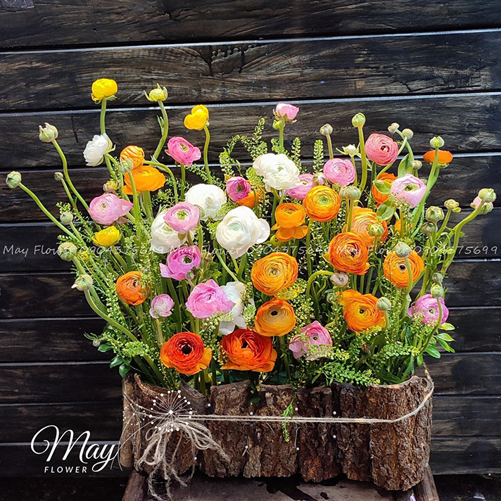 ruc-ro-vuon-mao-luong-1