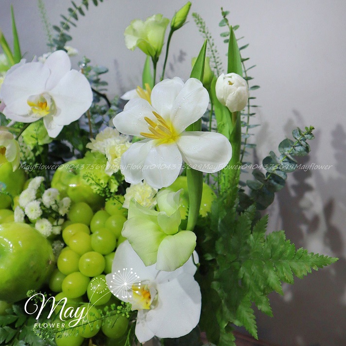 thanh-cong-rang-ro-3