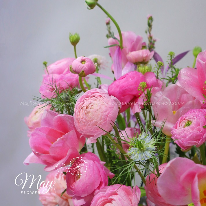 vuon-mao-luong-hong-2