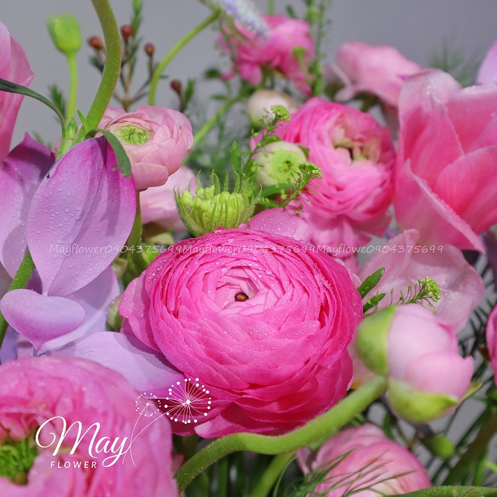 vuon-mao-luong-hong-3