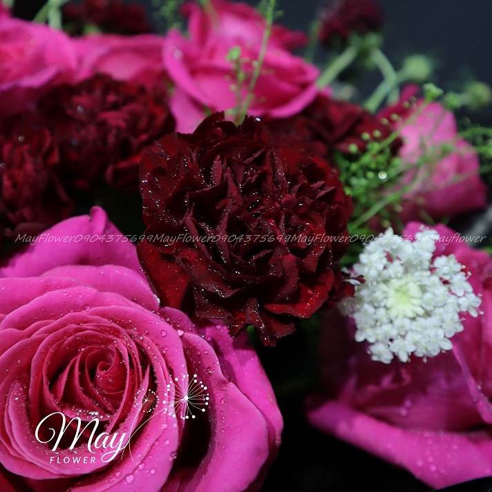 pink-floyd-huyen-bi-3