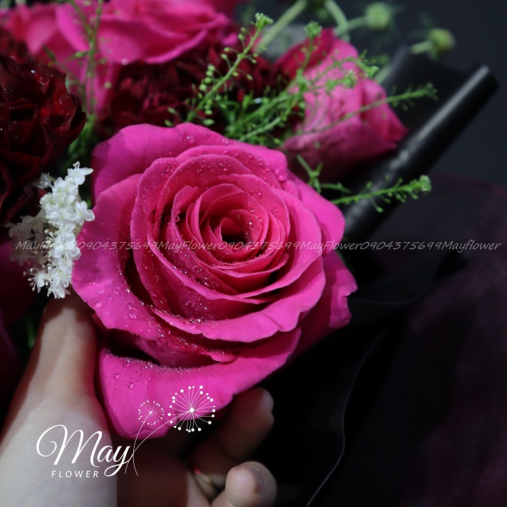 pink-floyd-huyen-bi-2