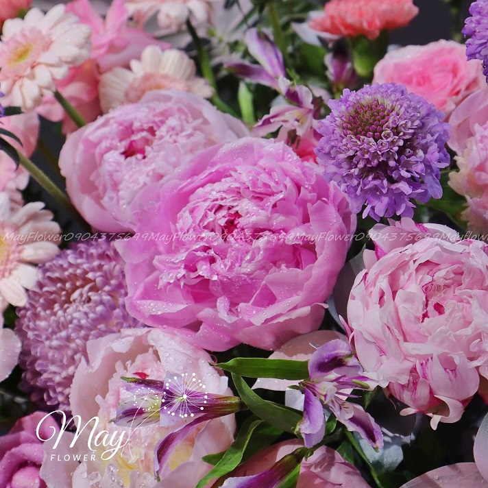 loi-chuc-thuan-loi-2