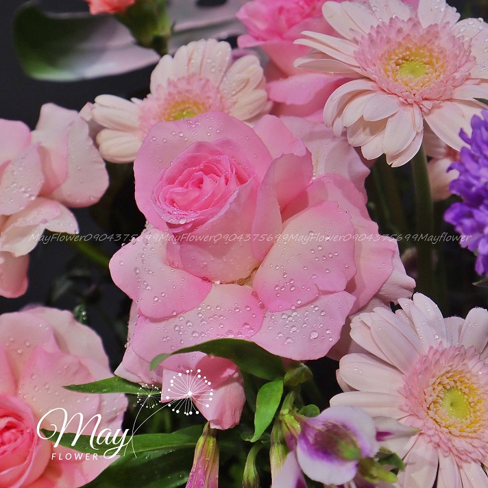 loi-chuc-thuan-loi-3