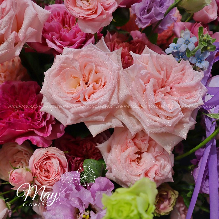 cau-chuc-thanh-cong-3