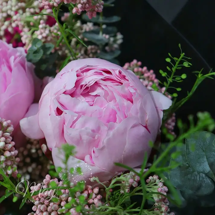 Hạ Chí Chưa Đến-3