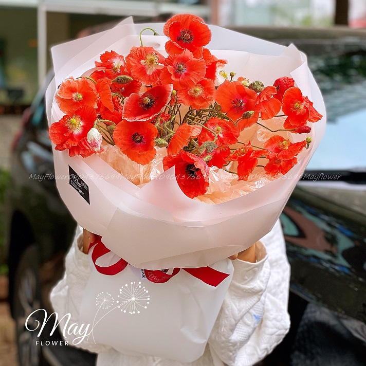 thu-mau-don-mau-nang-1