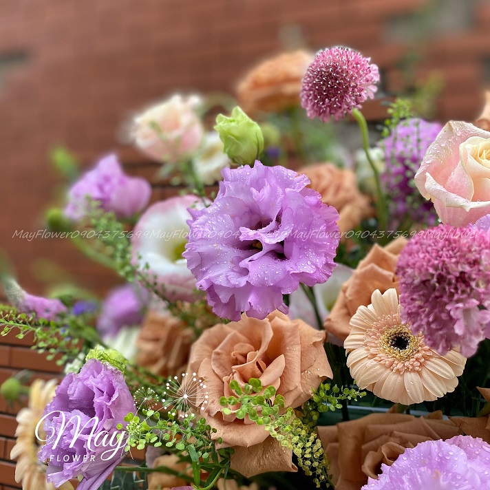 thuong-nho-day-voi-2