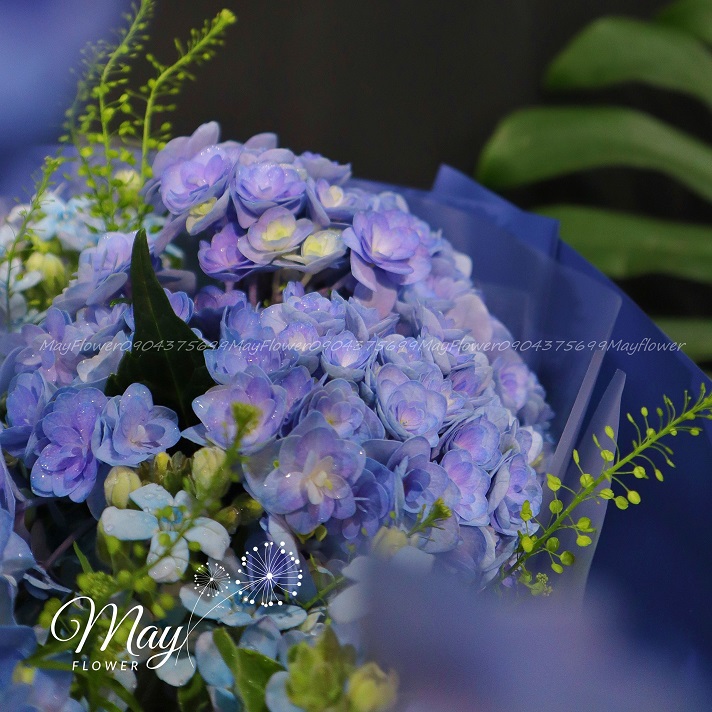 sac-xanh-cam-tu-cau-3