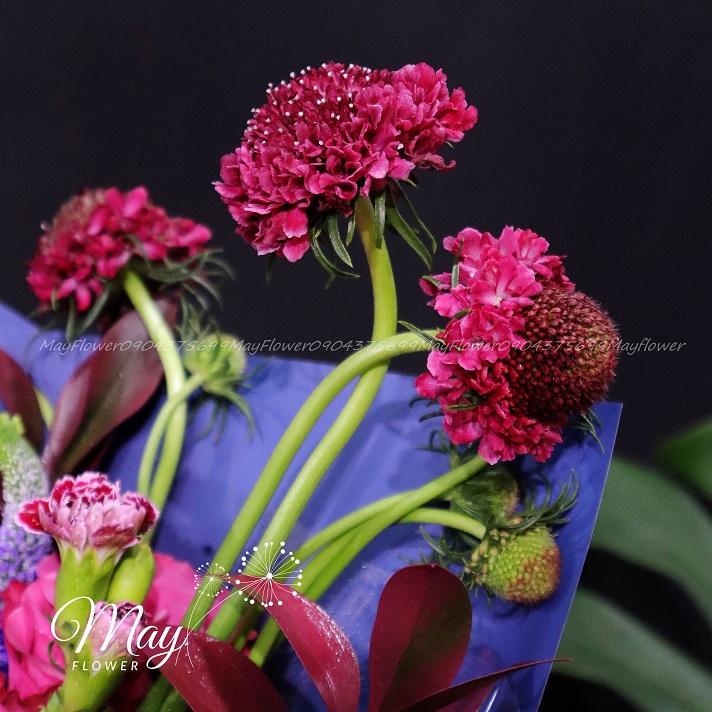 pink-floyd-long-lay-4