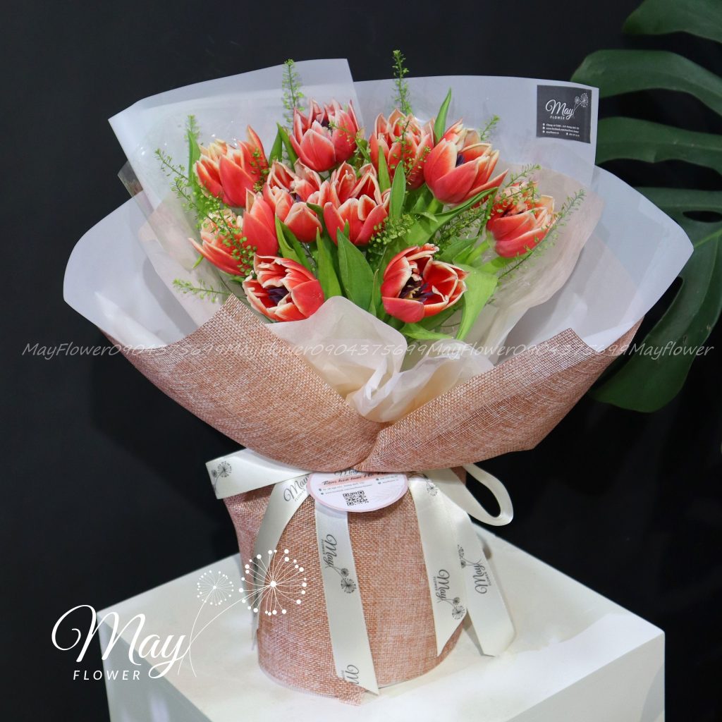 tulip-double-concorde-1