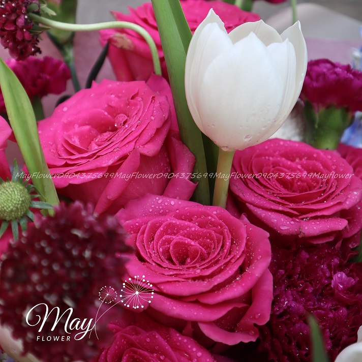 niem-vui-hanh-phuc-3