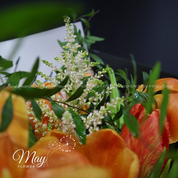 niem-vui-manh-liet-3