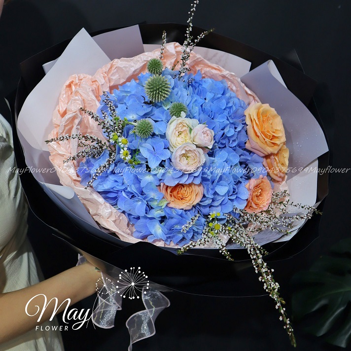 sang-tao-va-moi-la-1