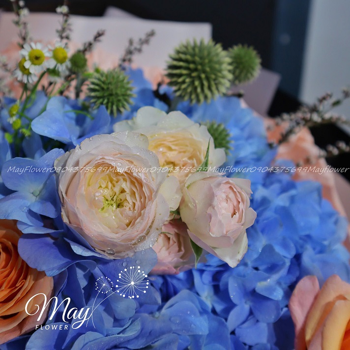 sang-tao-va-moi-la-3