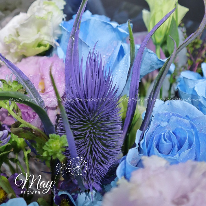 mot-tinh-yeu-vinh-cuu-2