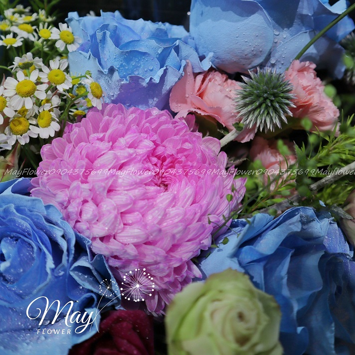 ngot-ngao-troi-may-1