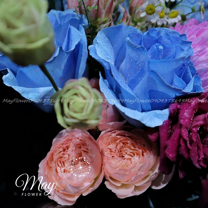 ngot-ngao-troi-may-3