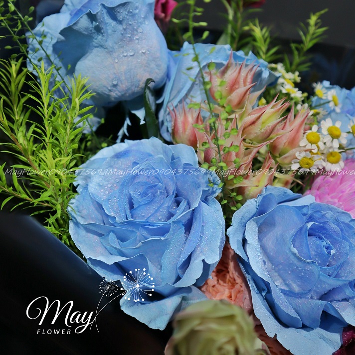 ngot-ngao-troi-may-2