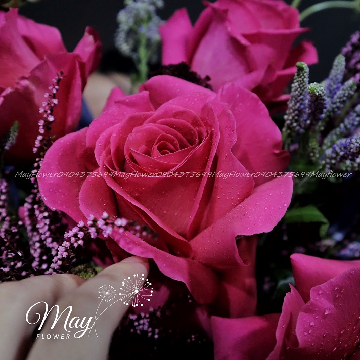 tuyet-sac-guong-hoa-2