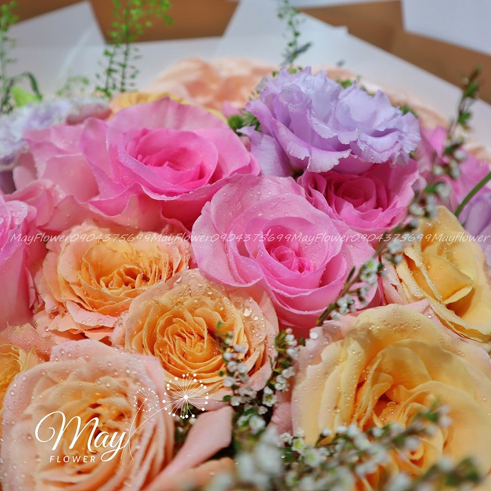 nang-luong-tuoi-moi-3