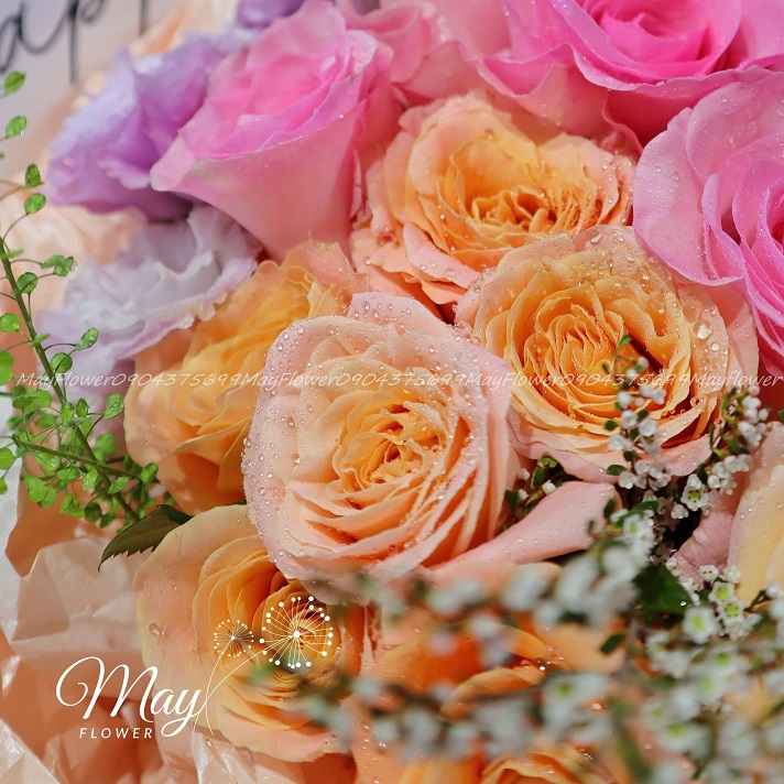 nang-luong-tuoi-moi-2