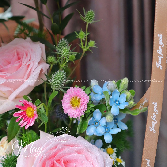 su-ket-noi-ngot-ngao-3