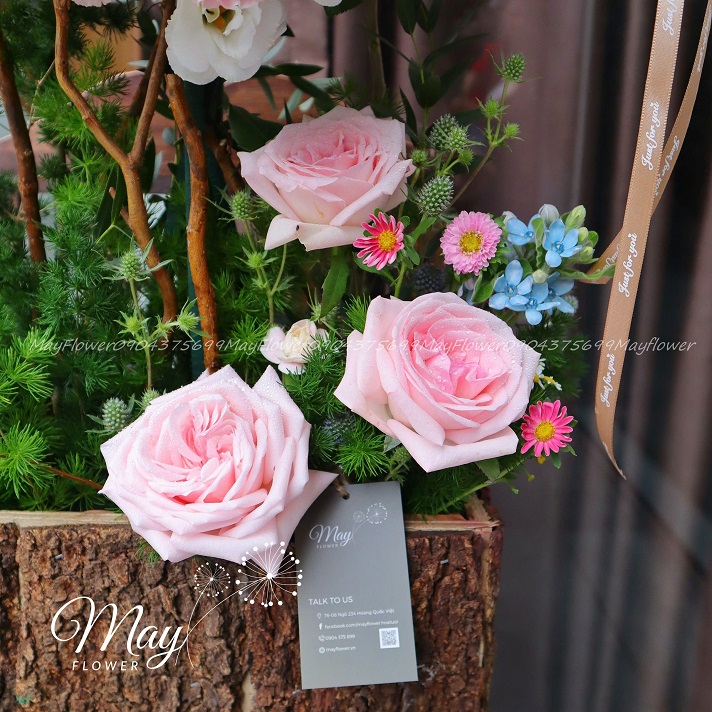 su-ket-noi-ngot-ngao-2