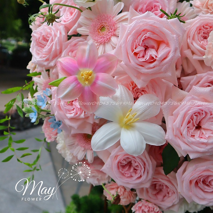 su-ket-noi-ngot-ngao-1