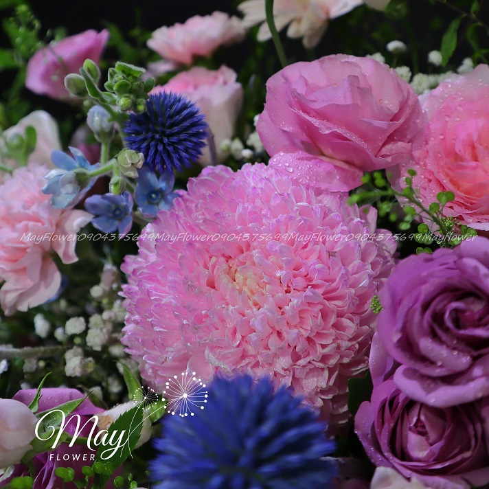 mong-uoc-thanh-cong-2