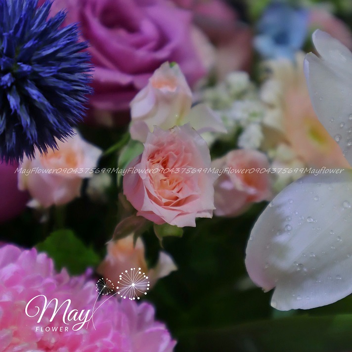 mong-uoc-thanh-cong-3