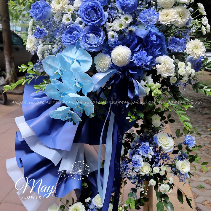 khai-truong-dai-loc-2