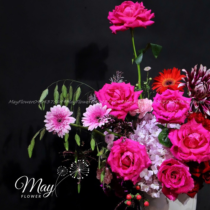 thanh-xuan-ngot-ngao-3