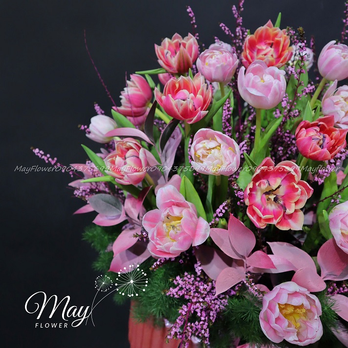 tulip-khoe-sac-ruc-ro-2