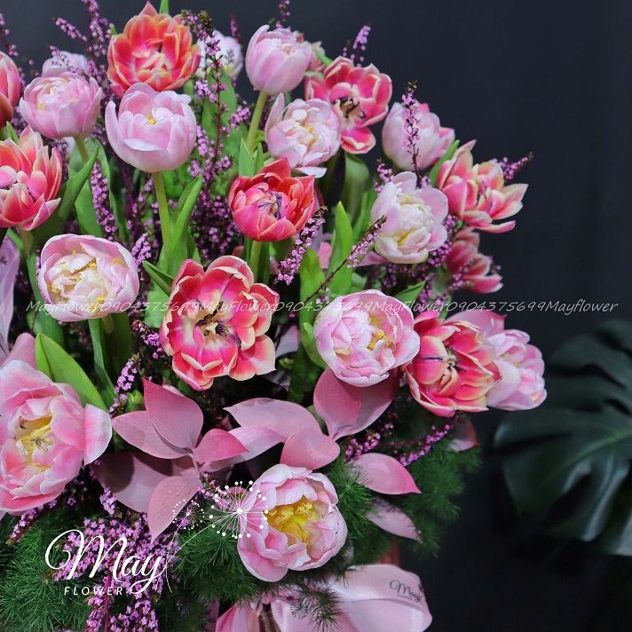 tulip-khoe-sac-ruc-ro-1