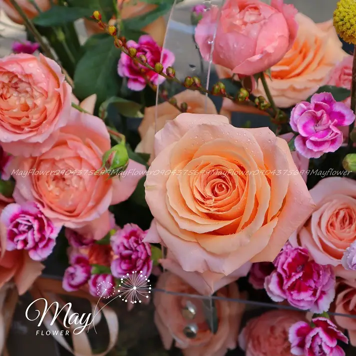 bong-hoa-ngot-ngao-2