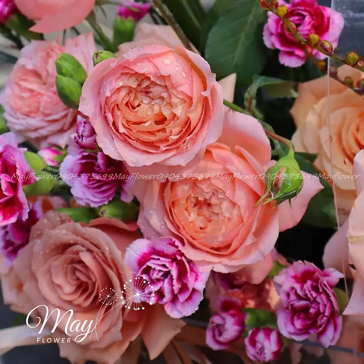 bong-hoa-ngot-ngao-3