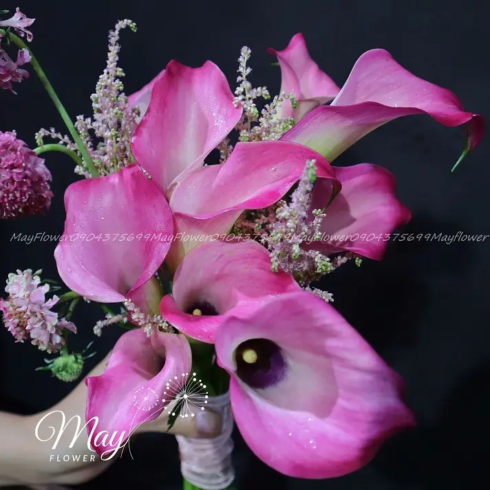 loi-hua-yeu-thuong-2