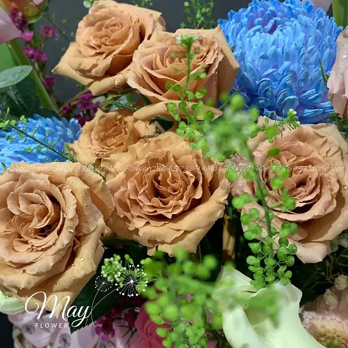 dong-chay-yeu-thuong-3