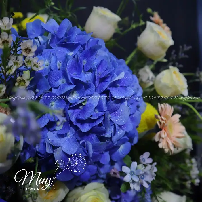 sac-mau-cua-cuoc-song-1