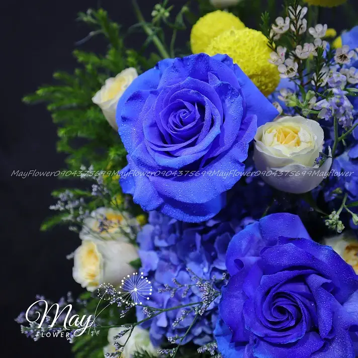 sac-mau-cua-cuoc-song-2