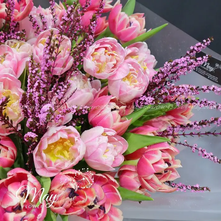 diep-khuc-hanh-phuc-3