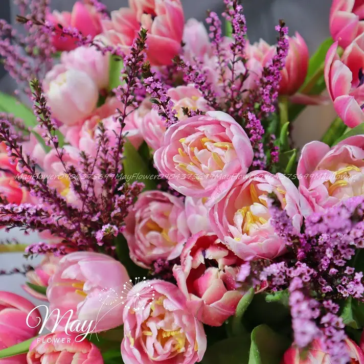 diep-khuc-hanh-phuc-2