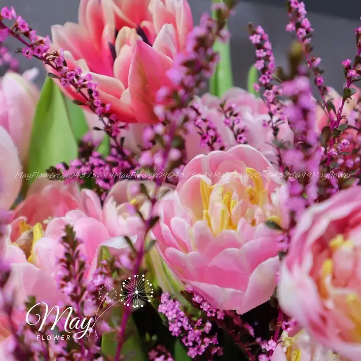 diep-khuc-hanh-phuc-1