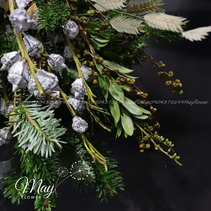 giang-sinh-gian-don-1