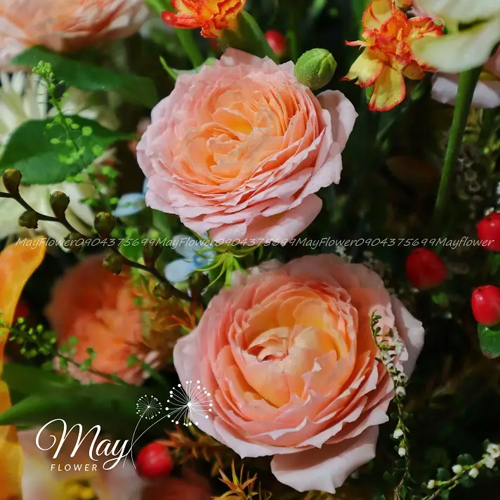 buoc-chan-vung-chai-1