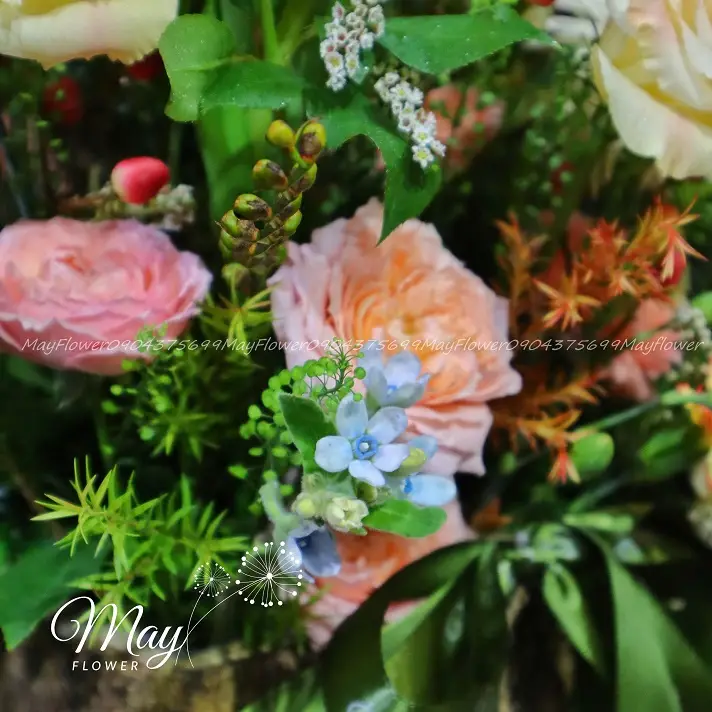 buoc-chan-vung-chai-3