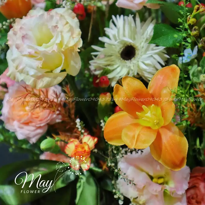 buoc-chan-vung-chai-2