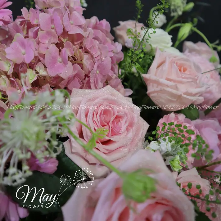 chan-thanh-va-diu-dang-3